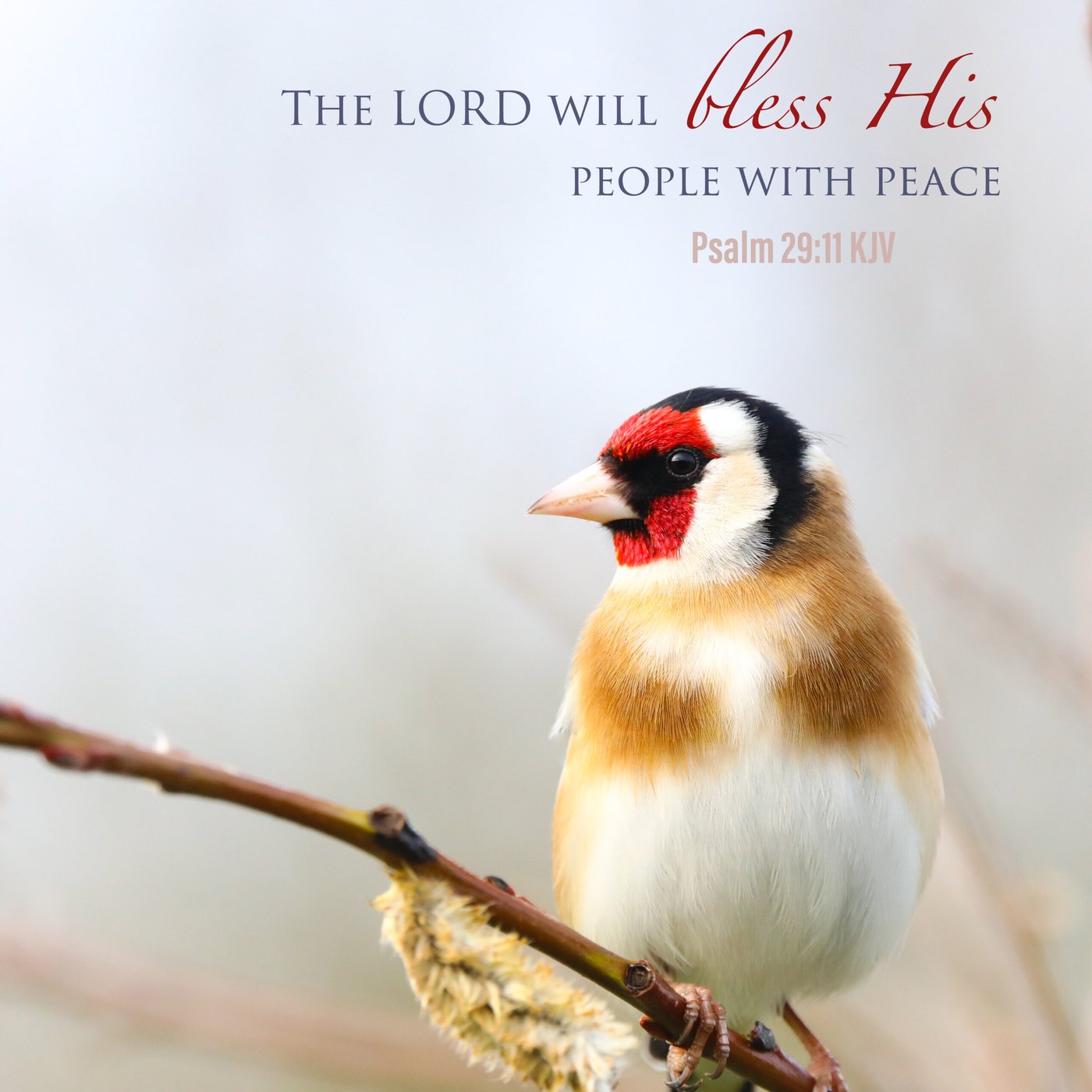 Goldfinch Scripture Encouragement Card