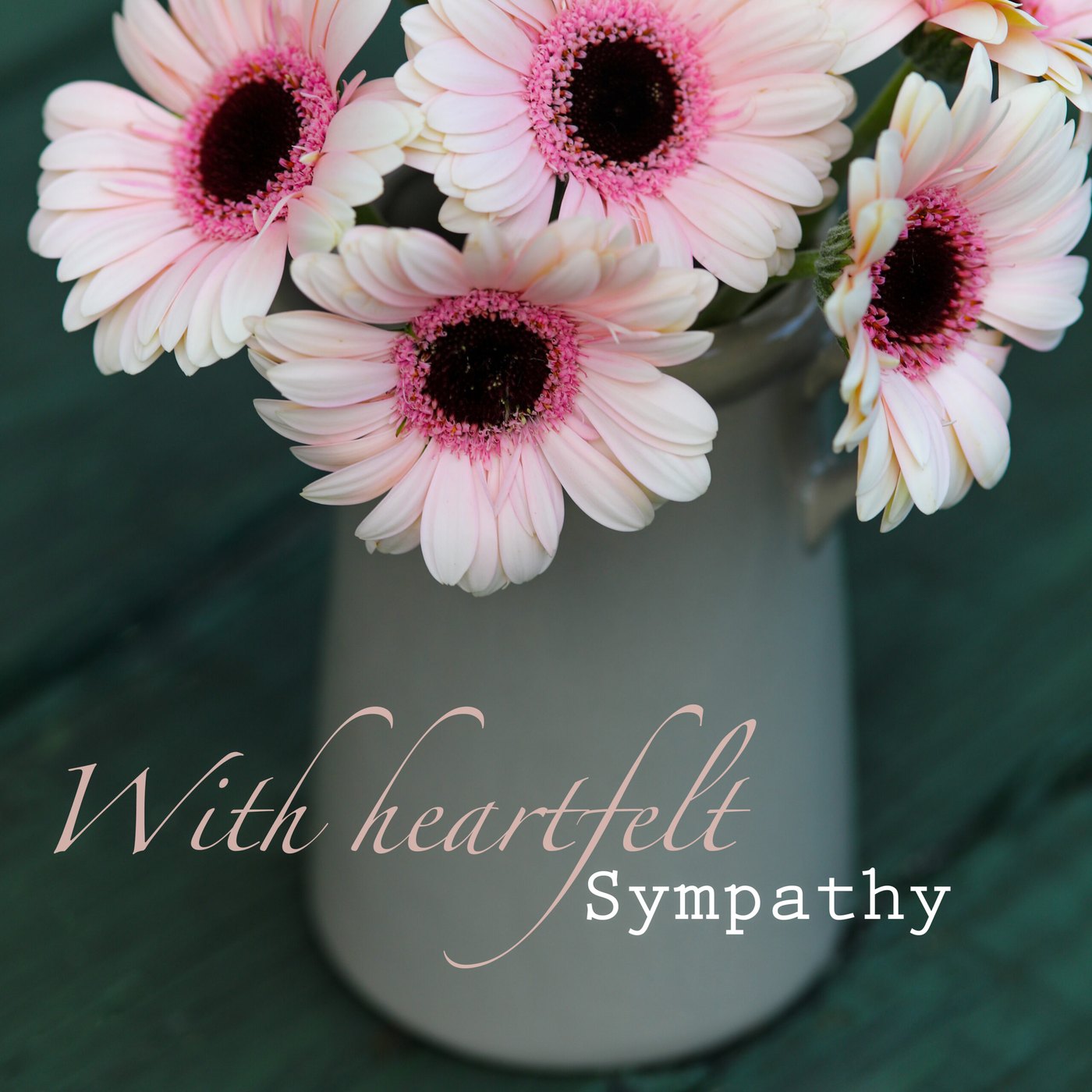 Pink gerberas Sympathy Card
