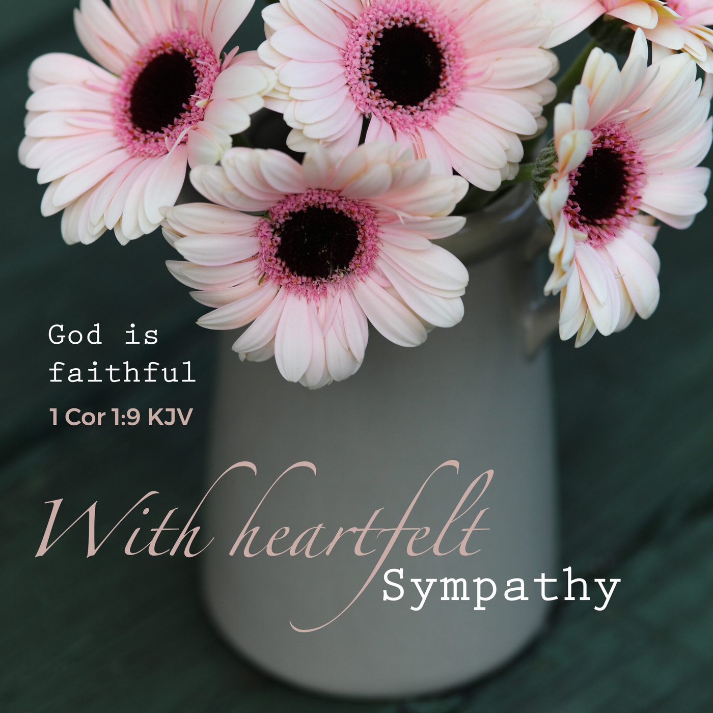 With Sympathy