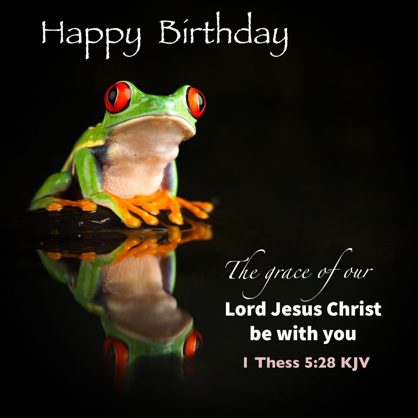 Red-eyed tree frog Scripture Birthday Card